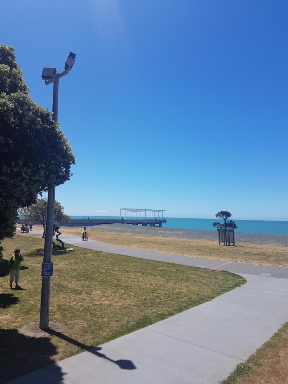 Archies Bunker Affordable Accommodation Napier Exteriör bild